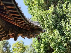 -张掖大佛寺景区