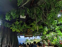 -江和美海洋公园