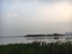 -星巴克(成都科学城店)