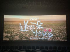 -星美影商城(京基IMAX店)