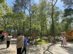 -东湖落雁景区