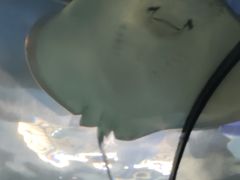 -福州罗源湾海洋世界旅游区