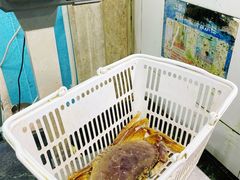 -小海豚·老字号海鲜餐厅(三亚湾店)