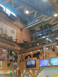 -卡通尼·Safari非洲探索乐园·生日会(金桥国际商业广场店)