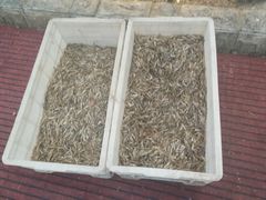 -正宗天津烧麦馆(柳州路店)