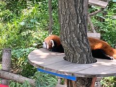 -大连森林动物园