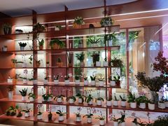 -二酉书店TOYOU BOOKS