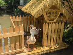-金银湖国家城市湿地公园