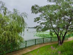 -金银湖国家城市湿地公园