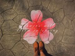 -高东镇樱花园