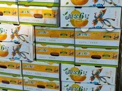 -西郊国际农产品交易中心