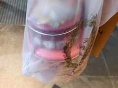 -珍妮曲奇聪明小熊(上环店)