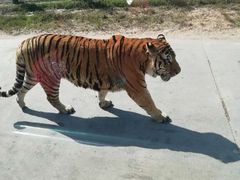 -西安秦岭野生动物园