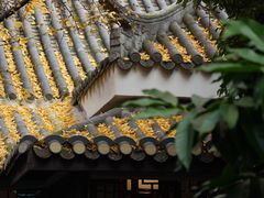 -钦善斋(武侯祠店)
