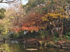 -秋霞圃