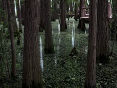-东湖落雁景区