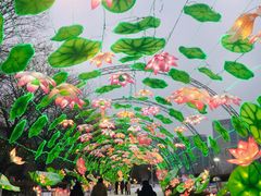 -沈阳奥体冰雪嘉年华