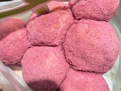 -奈雪的茶(百盛店)