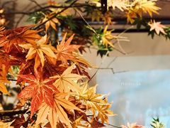 -路小缦·珍馐美馔(市心北路店)
