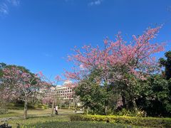 -风云岭森林公园