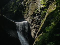 -牛背梁国家森林公园