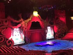 -珠海横琴长隆《卡卡虎奇遇记》