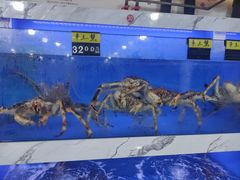 水产区-新农都水产市场