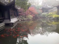 -西湖外事游船(花港观鱼码头)