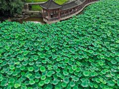 -龙头寺公园