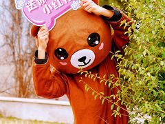 -少华山国家森林公园