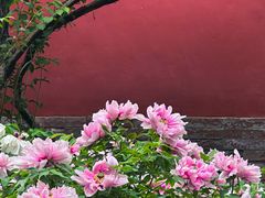 -北京市劳动人民文化宫(太庙)