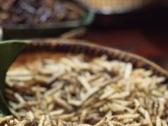 -银生食府·普洱菜(金星店)