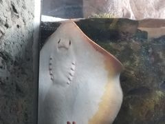 -珠海长隆海洋王国