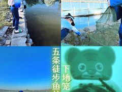 -花岙岛