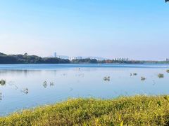 -鹤之洲湿地公园