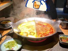 -湊湊火锅·茶憩(石家庄万象城店)