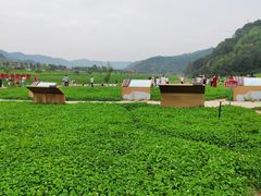 -南泥湾风景区