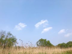 -太湖湖滨国家湿地公园-停车场