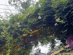 -往来·竹里.宝宝宴.生日宴.团建.宴席(花乡农居店)