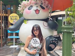 -轩客会(熊猫书店)