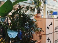 -Seesaw Coffee(上海太阳宫K46店)