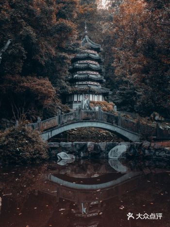 深圳拍照好去处｜仿佛置身于杭州小园林