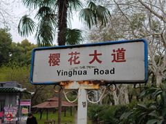 -武汉大学-樱园