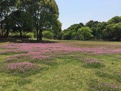 -福建鲤鱼洲酒店