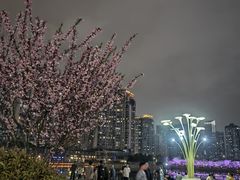 -西北湖绿化广场
