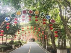 -大屏嶂森林公园