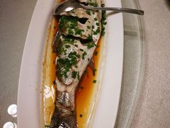 -千岛湖品鱼馆(钓鱼岛店)