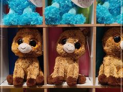 -百新书局(尚悦湾店)