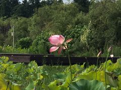 -贵阳蓬莱仙界