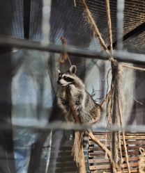 -酷嗒动物文化乐园(cutezoo西溪乐天城店)